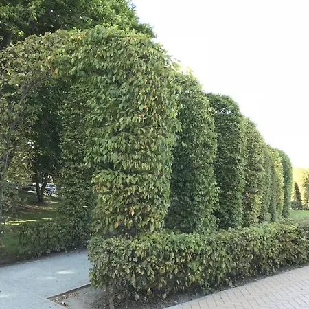 Granitz * Goehren (Ruegen)