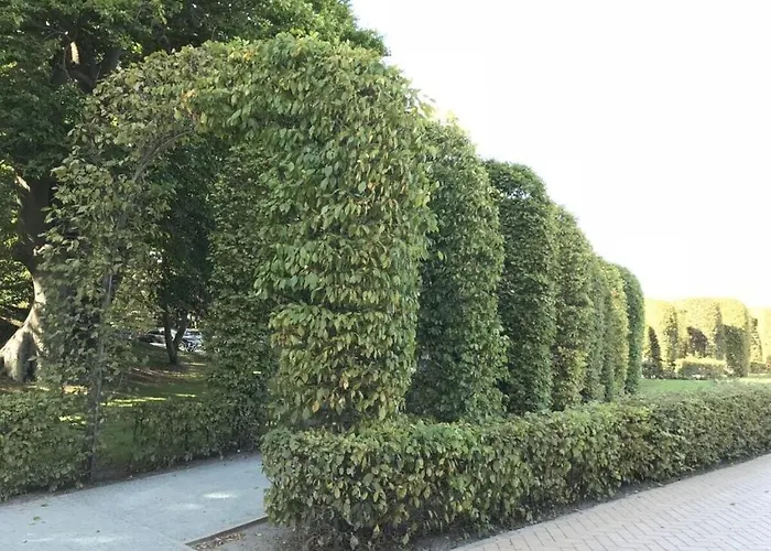 Granitz * Goehren (Ruegen)